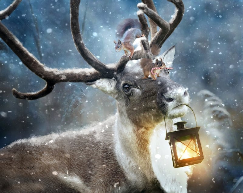 Magical Illustrations